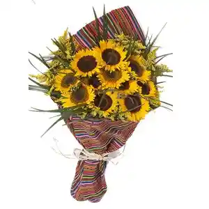 Girasoles Deluxe