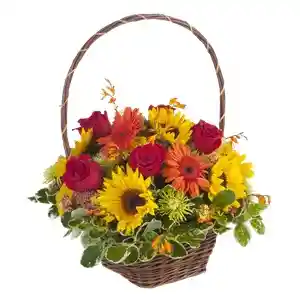 Gerberas Mix