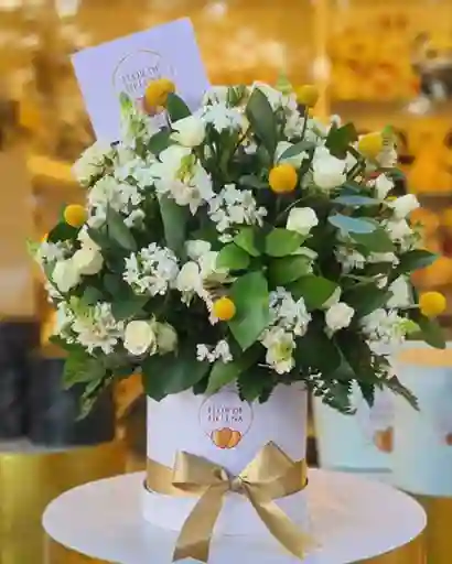 Flower Box Flor De Helena