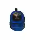 Maletín Cargador Ventanada Libre Tipo Morral Pequeño Color Azul Para Mascotas