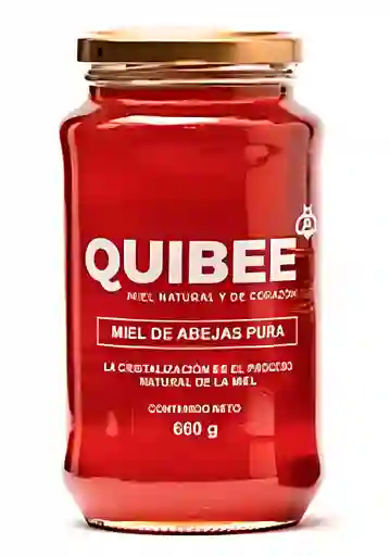 Miel De Abejas Natural 660 Gramos