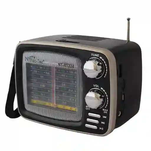 Radio Bluetooth Parlante Recargable Con Usb Y Radio Fm