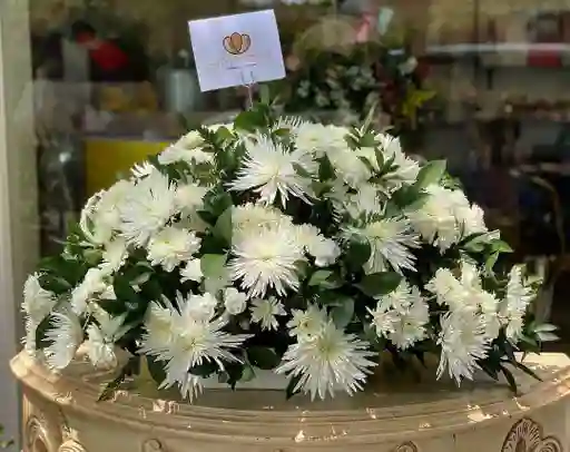 Ramo Fúnebre Flor De Helena