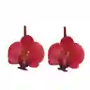 Argollas Orquídeas Rojas