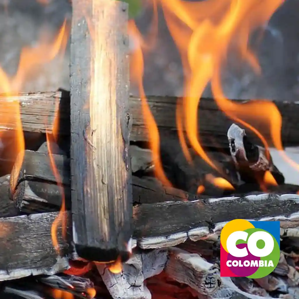 Leña Para Asado O Chimenea Por Atado ( 10 )