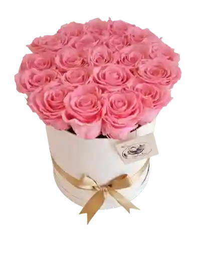 Caja Top De Rosas Preservadas Rosadas
