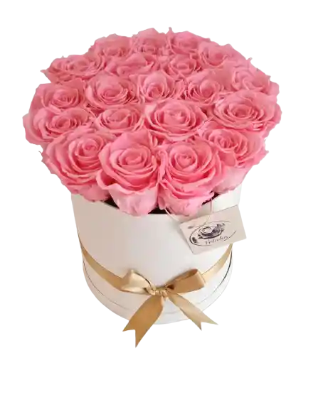 Caja Top De Rosas Preservadas Rosadas