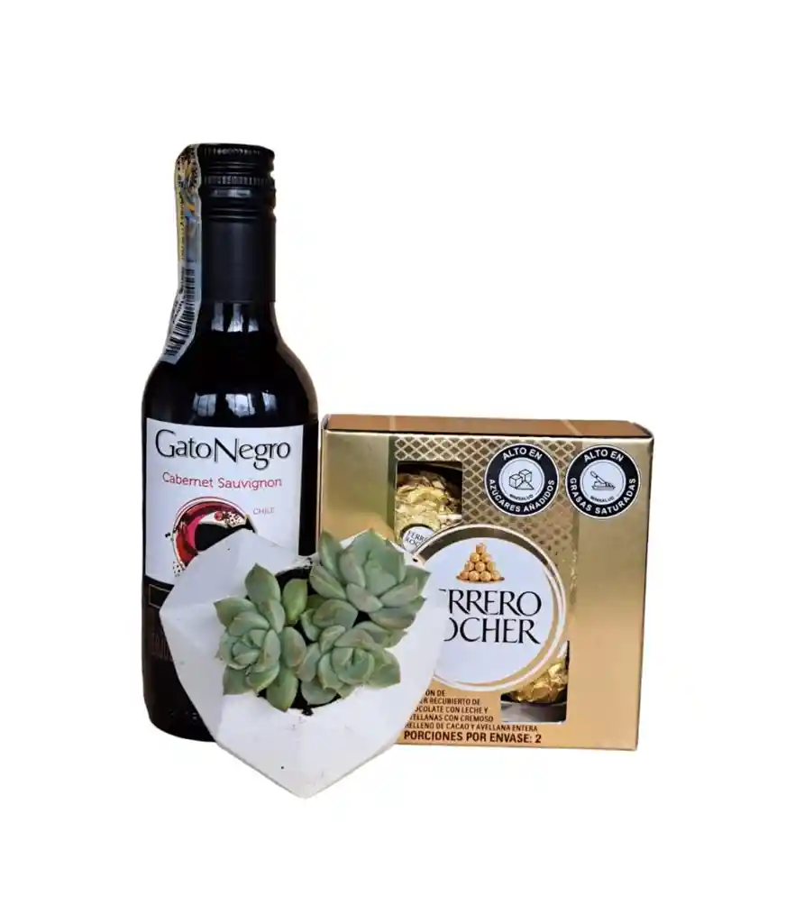 Combo Suculenta Concreto + Vino Gato Negro De 187,5ml + Ferrero Rocher X4