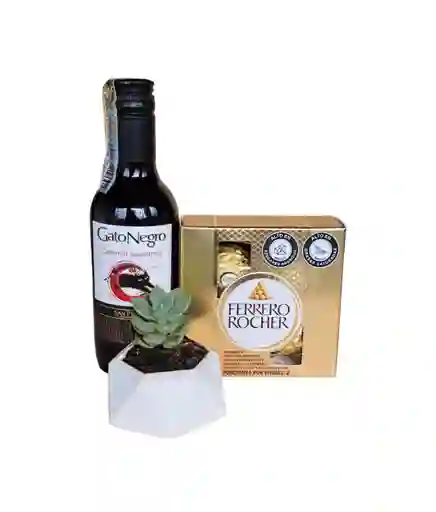 Combo Suculenta Concreto + Vino Gato Negro De 187,5ml + Ferrero Rocher X4