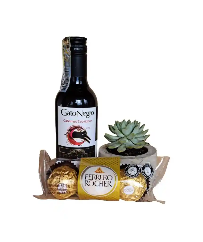 Combo Suculenta Concreto + Vino Gato Negro De 187,5ml + Ferrero Rocher X3