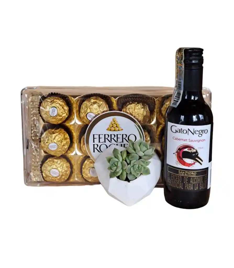 Combo Suculenta Concreto + Vino Gato Negro De 187,5ml + Ferrero Rocher X12