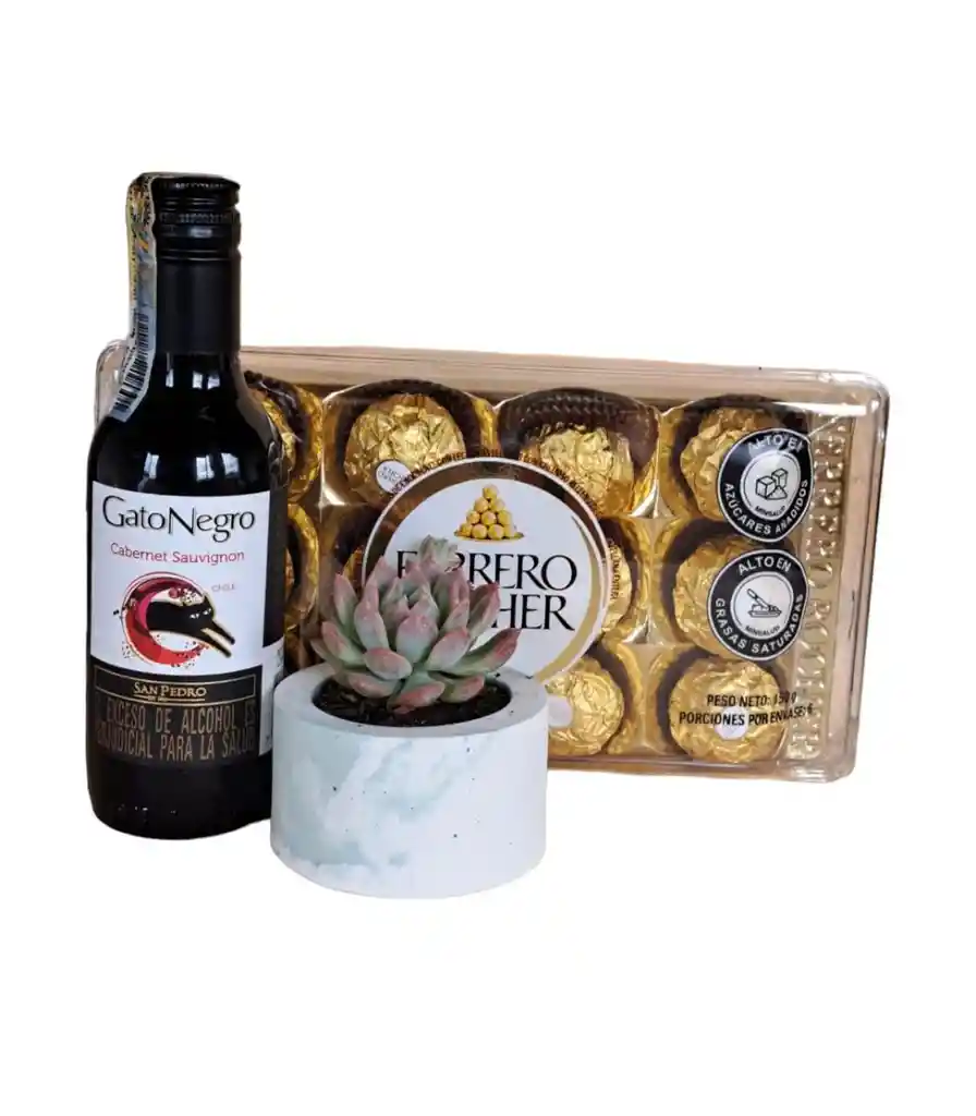 Combo Suculenta Concreto + Vino Gato Negro De 187,5ml + Chocolates Ferrero Rocher X12- Día De La Mujer