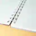 Alpen Bitácora Acuarela Tamaño 1/8 Argollada