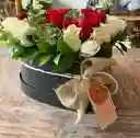 Andromeda Caja Corazon Especial