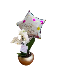 Orquídea Feliz Día