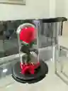 Rosa Corazón Preservada Con Caja De Regalo (color A Disponibilidad)