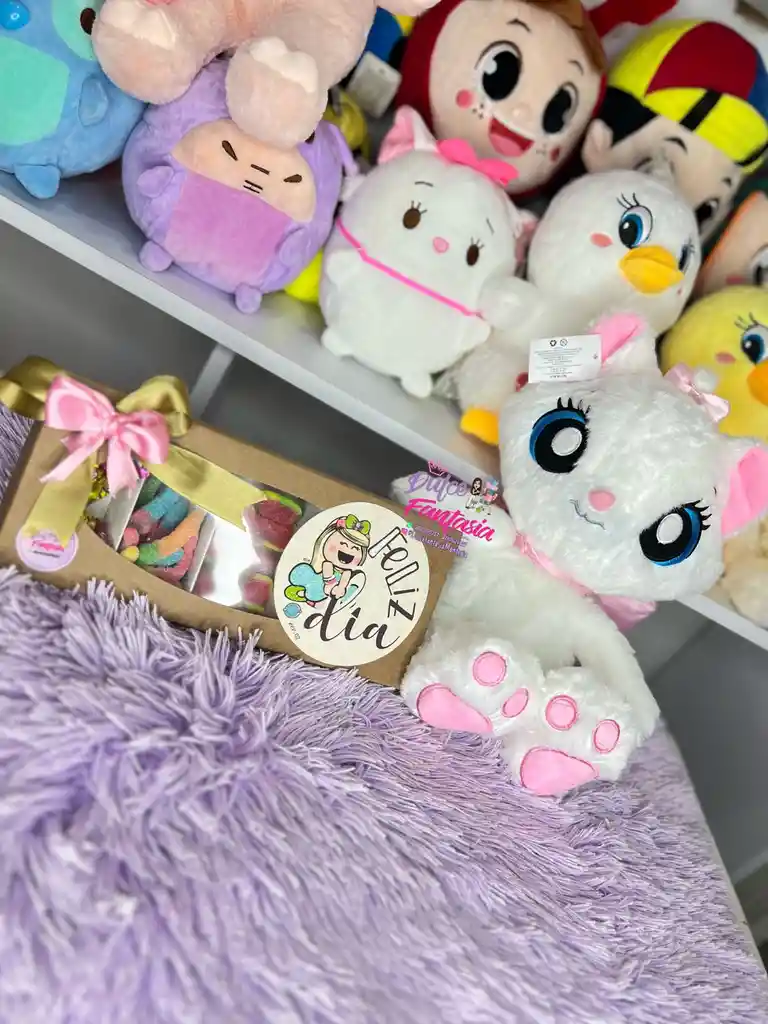 Peluche Y Caja Dulcera