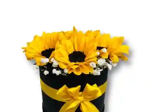 Caja De Flores De Girasol