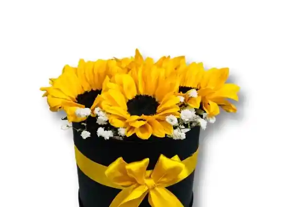 Caja De Flores De Girasol