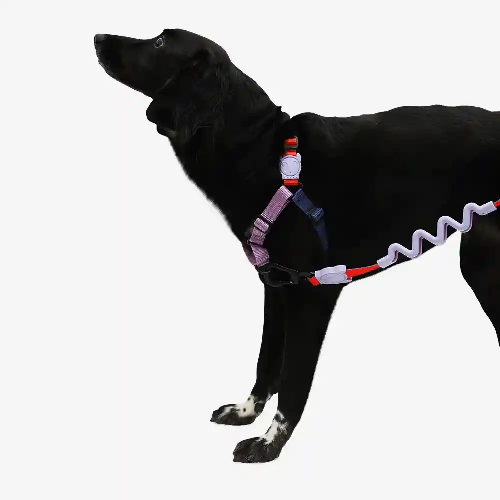 Soft Walk Harness - Arnés Ref Genie Talla S