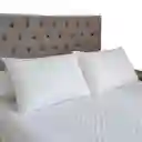 Set X 2 Almohadas Siliconadas 65x45cm Hogareto Blanco
