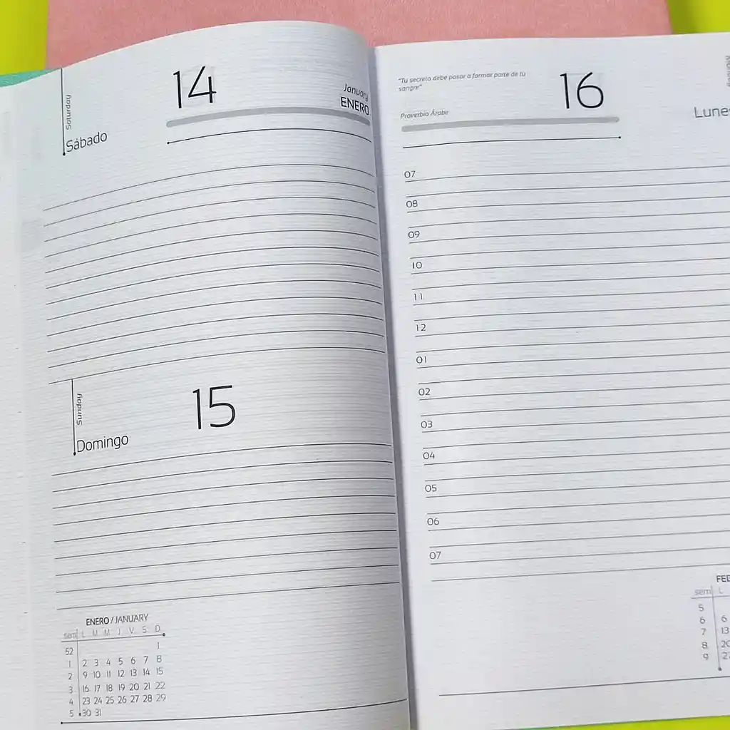 Agenda Maestro 2023 Diaria Planeador Mensual Canto Plateado