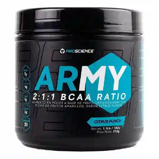 Army Bcaa 510 Gr Citrus Punch