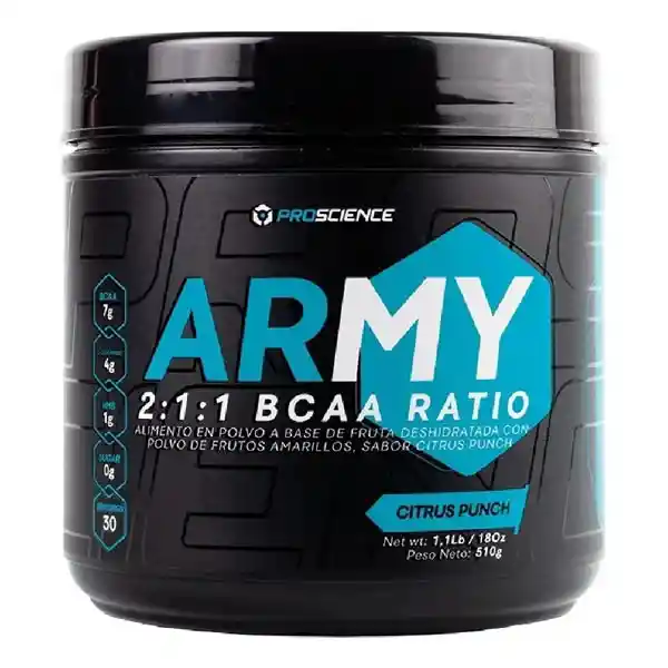 Army Bcaa 510 Gr Citrus Punch