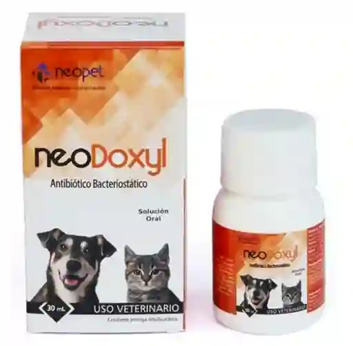 Neodoxyl Suspension Oral 60 Ml