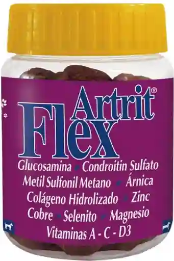 Artri Flex Suplemento X 1vita Crunch