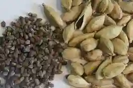 Semilla Cardamomo Entero Sin Vaina