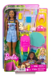 Set De Muñeca Barbie Dia De Campo Brooklyn Hdf74