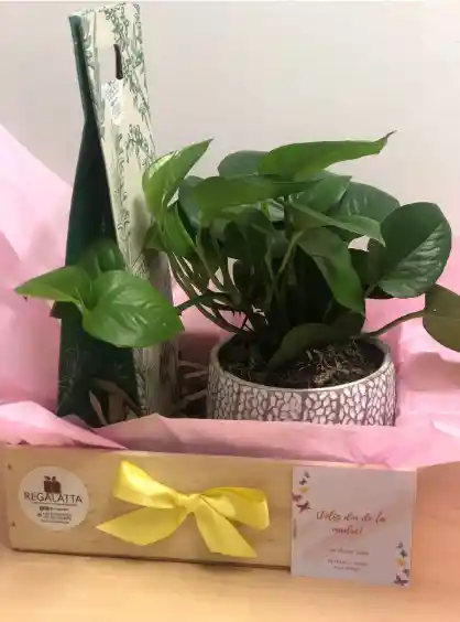 Regalo - Bienestar Y Vida