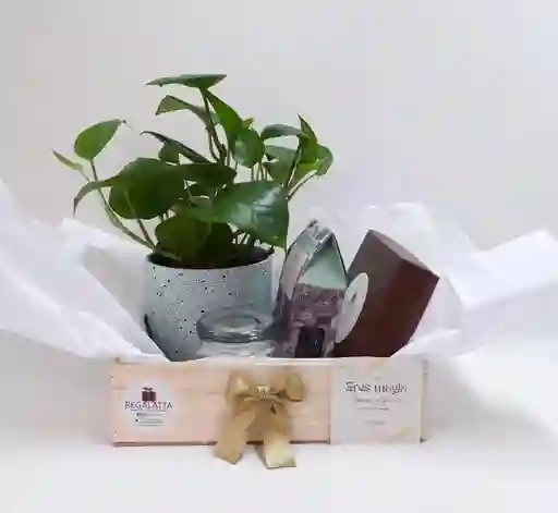 Regalo - Sobrio Y Elegante
