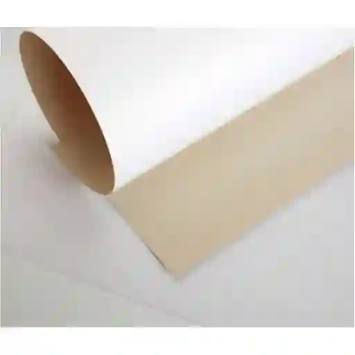 Carton Cartulina