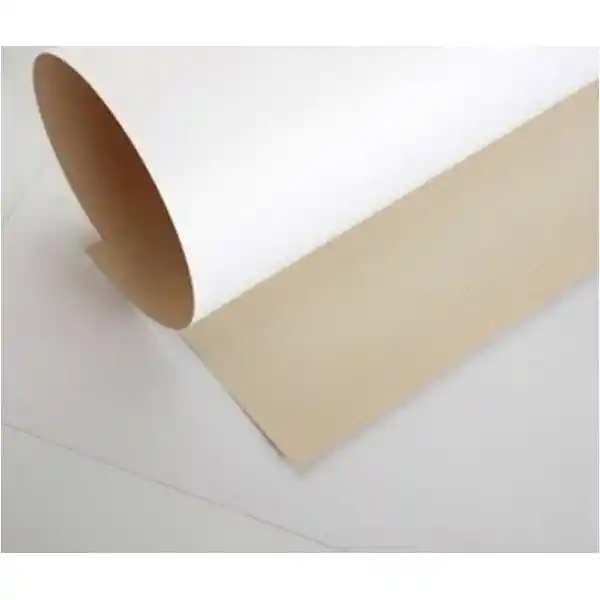 Carton Cartulina
