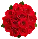 Ramo De 12 Rosas Rojas