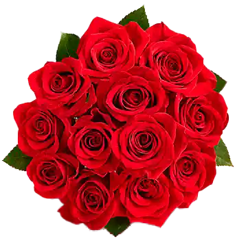 Ramo De 12 Rosas Rojas