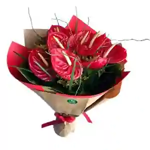 Bouquet Anturio