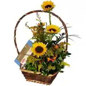 Cascada Mini Girasol