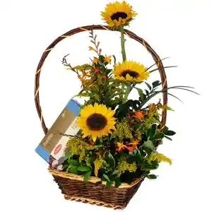 Cascada Mini Girasol