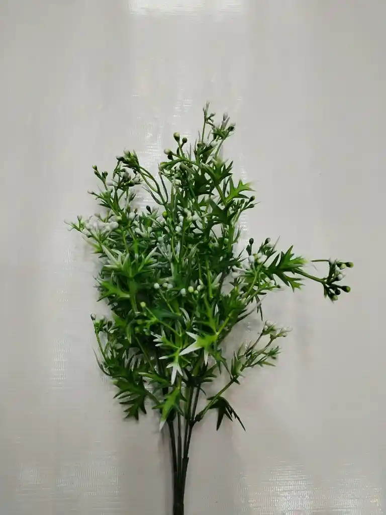 Racimo De Vegetación Verde Con Blanco