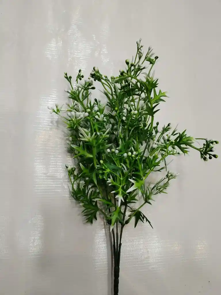 Racimo De Vegetación Verde Con Blanco