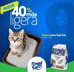  Arena  Sepi Cat  X 4 Kilos 