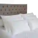 Set X 6 Almohadas Siliconadas 65x45cm Hogareto Blanco