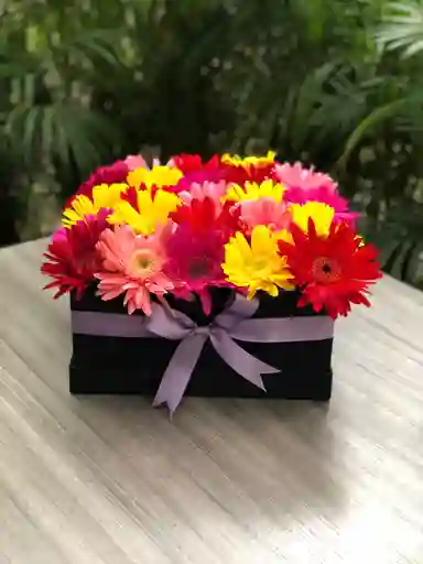 Caja De Gerberas Arreglo Floral