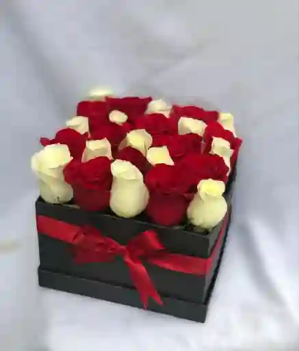 Caja De 25 Rosas De 2 Colores En Arreglo Floral