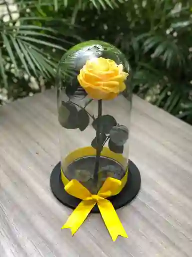 Rosa Preservada En Urna De Cristal Color Amarillo