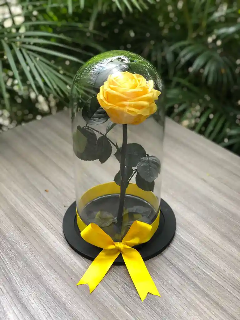 Rosa Preservada En Urna De Cristal Color Amarillo