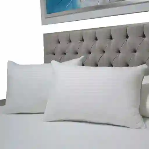 Set X 2 Almohadas Premium 70x50cm Hogareto Blanco